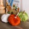 Glitzhome&#xAE; Colorful Velvet Pumpkins Set